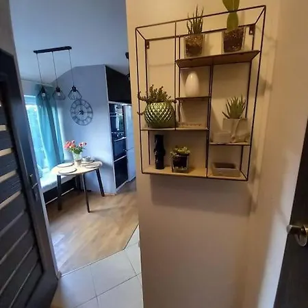 Apartament Green Wroclaw City * Breslavia