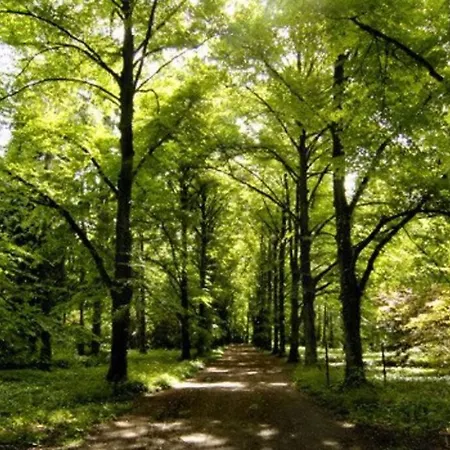 Apartament Green Wroclaw City * Wroclaw