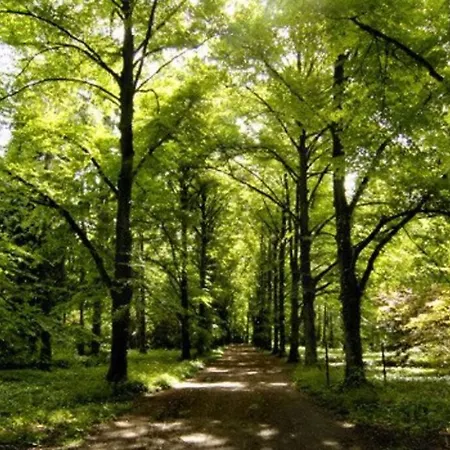 Apartament Green City * Wroclaw