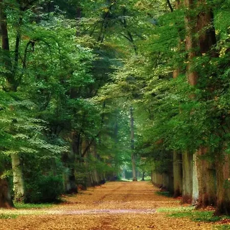 Daire Apartament Green Wroclaw City Wroclaw