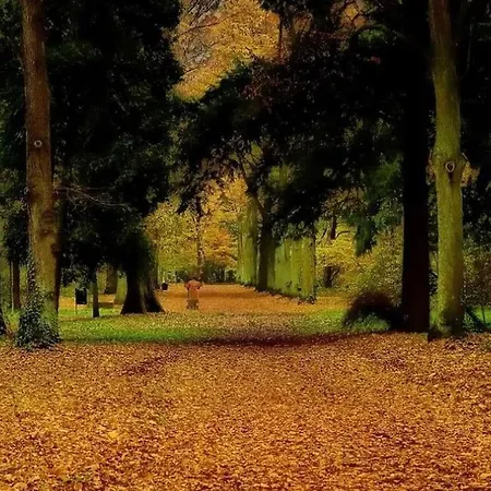 Apartament Green Wroclaw City Daire *