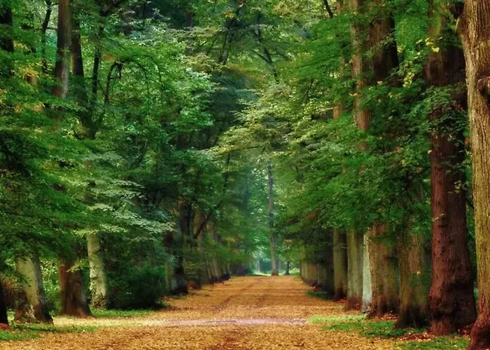 Lejlighed Apartament Green Wroclaw City Wrocław