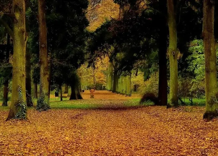 Apartament Green Wroclaw City Apartment *